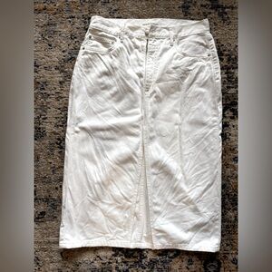 Denim Forum Halle Skirt 31